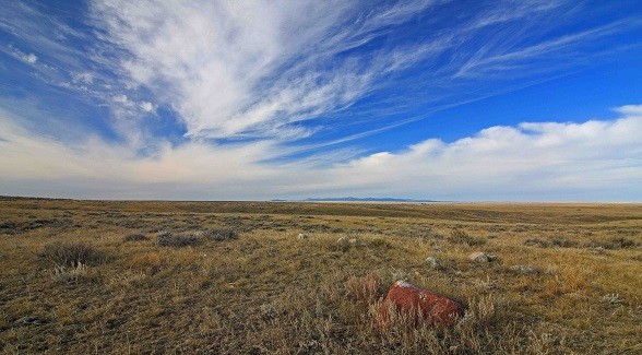 1.6 million acres of Great Plains grasslands were destroyed in