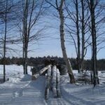 Land To Table: Vermont Maple Sugar