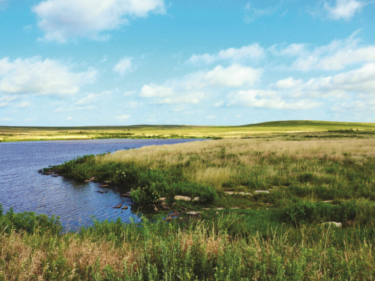 2016 Land Report 100: Ted Turner - The Land Report