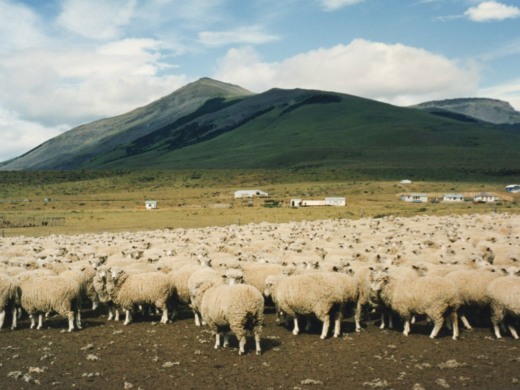 sheepfarm_fi