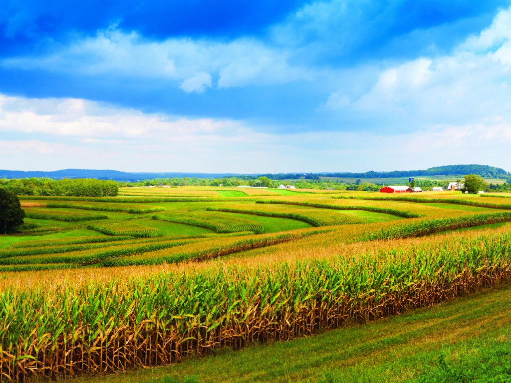 Leading Harvest