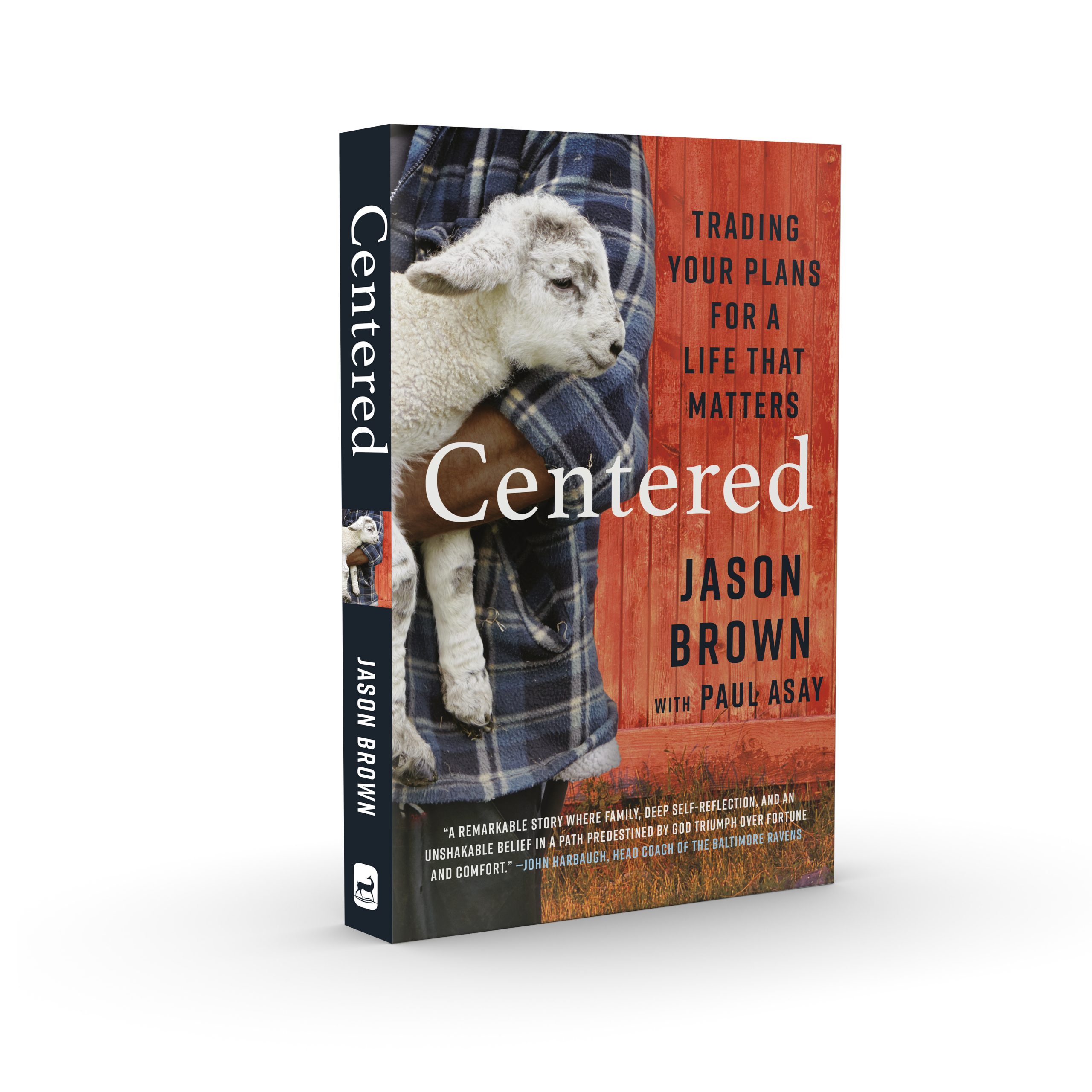 Centered 3d_spine