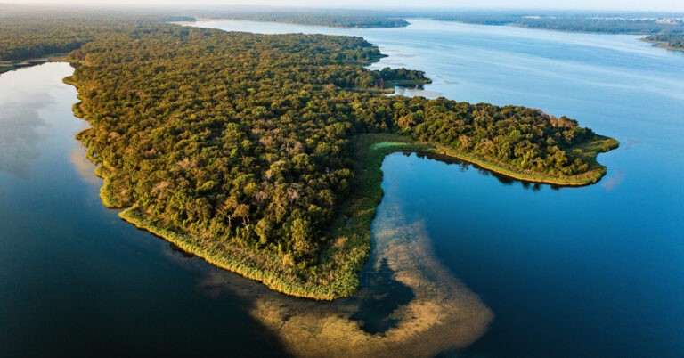 Cash McWhorter, Fairfield Lake, Hortenstine Ranch Company,Post Oak Savannah, Texas Parks & Wildlife, Vistra