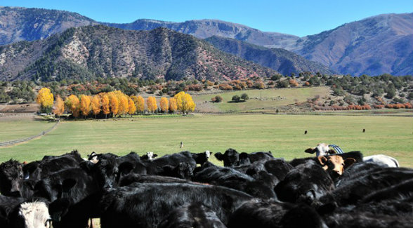 BearWallowRanchCO_lg