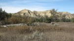 ElkhornRanchND_lg