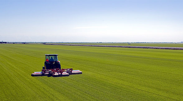 The Land Report 100