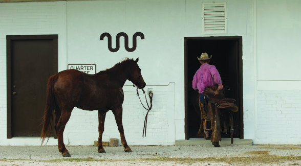 James Clement III is charged with managing and running King Ranch Quarter Horses.