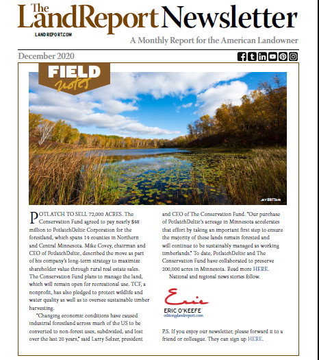 Land Report Newsletter December 2020