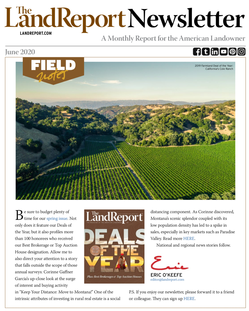The Land Report June 2020 newsletter cover