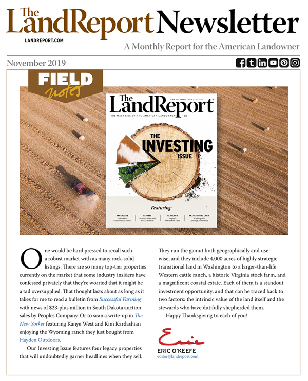 The Land Report November 2019 newsletter cover