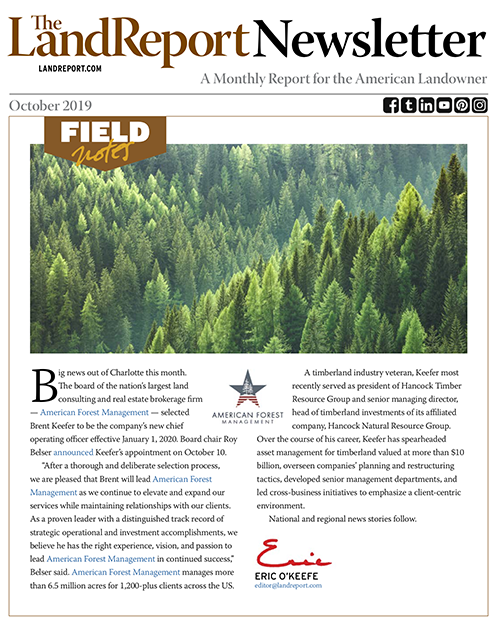 The Land Report newsletter cover