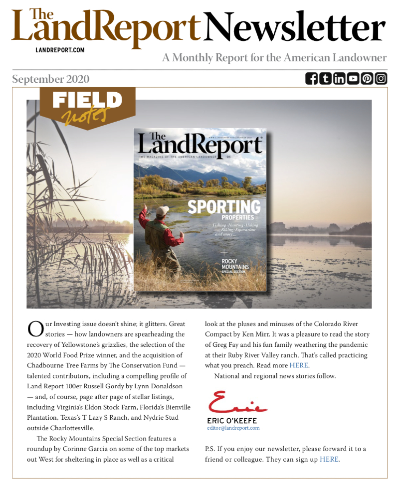 Land Report September 2020 newsletter