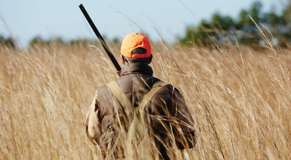 In addition to its champion sporting clays course, this Central Florida members-only club offers guided quail hunting, Osceola turkey hunting, walk-up pheasant hunting, dedicated dove fields, and wild hog hunts.