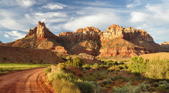 Brilliantly colored Navajo sandstone is a hallmark of the Trees as well as Zion National Park.