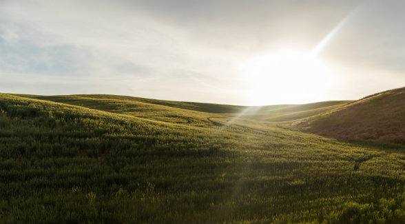 Land Report 2018 Farmland Deal of the Year: Walla Walla Masterpiece 