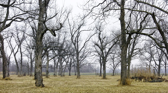 Bird Creek Ranch