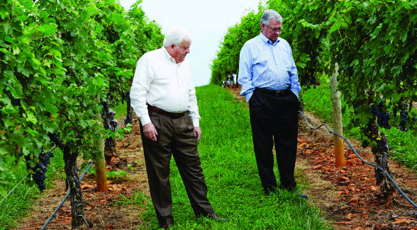 "When we broke ground in 1999, there was one other winery in the Yadkin Valley and a total of 12 in North Carolina. Now there are 38 wineries in the region and 120 in the state." - Charlie Shelton, with his brother Ed