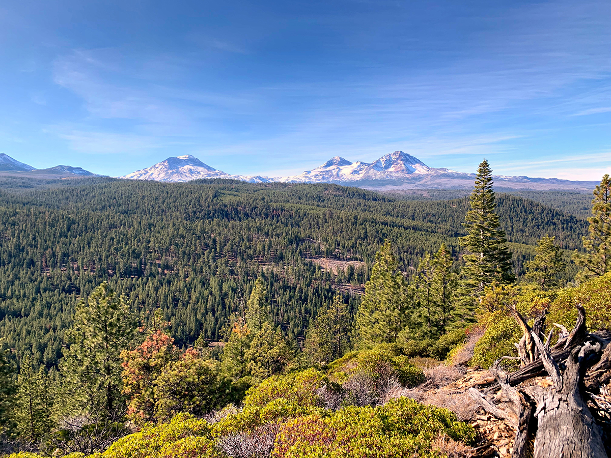 Bull Springs Skyline Forest, Bull Springs, Mason & Morse Ranch Company, Timberland, Bend, Oregon, OR