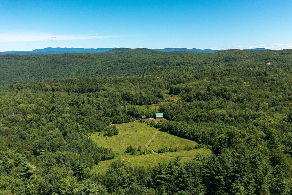 Pierce Brook Forest, Acworth New Hampshire, NH, Timberland