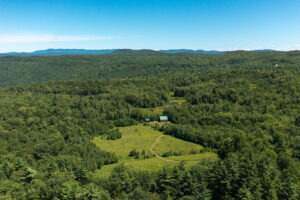 Pierce Brook Forest, Acworth New Hampshire, NH, Timberland