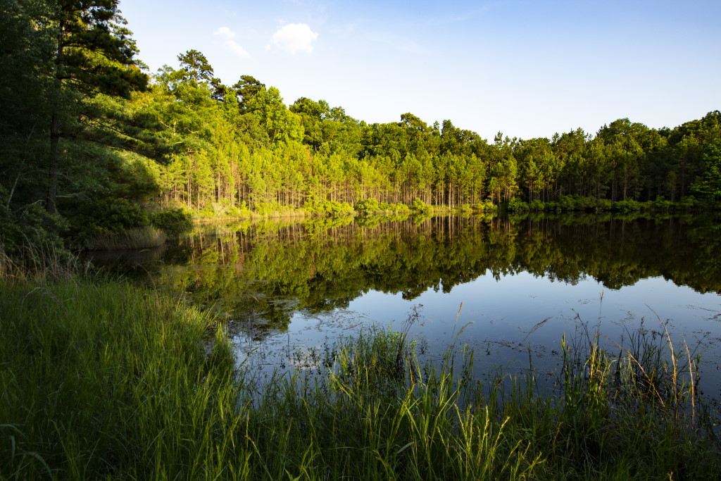 Cherokee Ridge lake