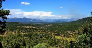LR ForestParkRanch 18