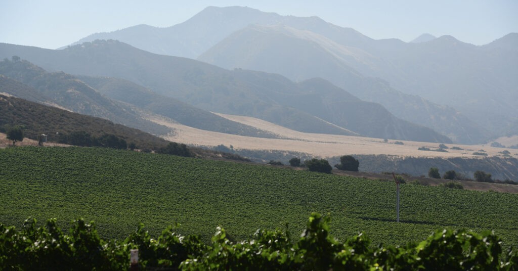 Rancho Sisquoc Mountains, Rancho Sisquoc Winery, Wine, Mountains, Steve McCrank