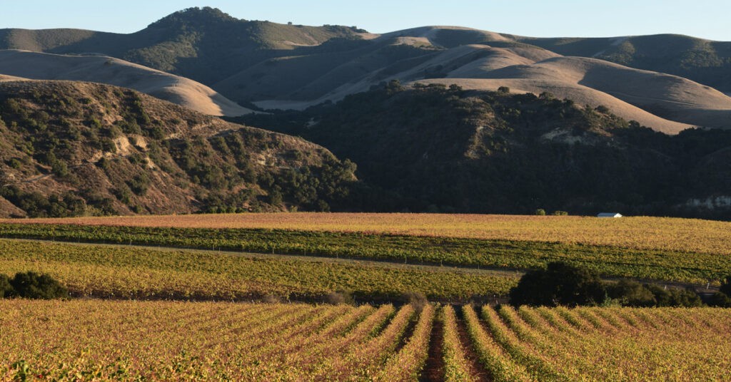 Land Report, Rancho Sisquoc Vineyard, Rancho Sisquoc Winery, Rancho Sisquoc, Steve McCrank