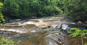 Westervelt Ecological Services, Land Report, Schultz Creek