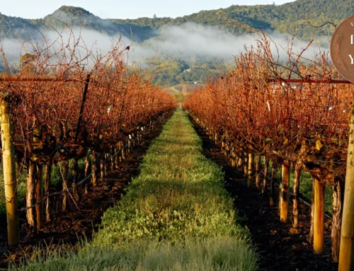 2022 Farmland Deal of the Year: Foley Family Wines Acquires Silverado