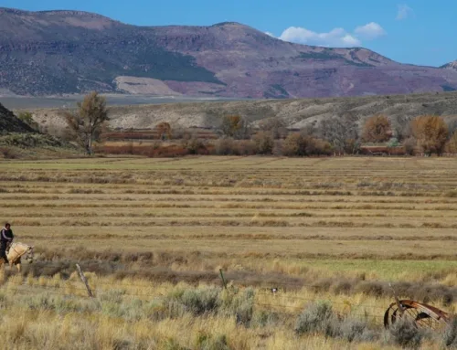Sevens Ranch