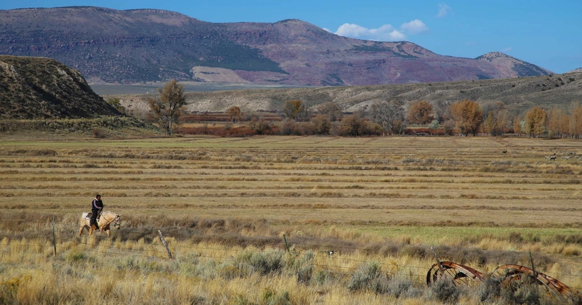 Sevens Ranch, Mirr Ranch Group