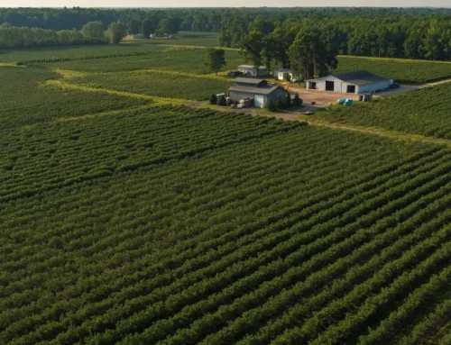 Sealed Bid Offering for Blue Berry Operation in Ottawa County, Michigan