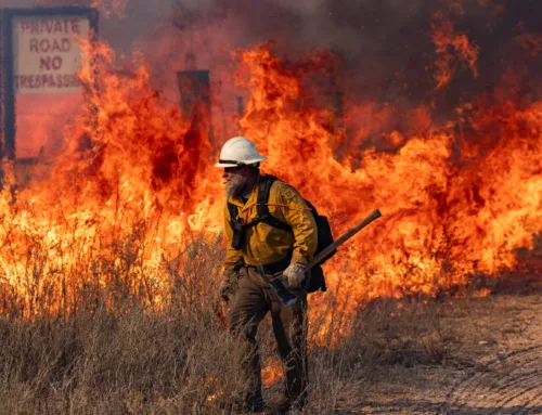 Million-Acre Wildfire Scorches Texas Panhandle