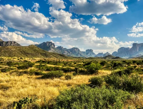 Top 10 Texas Landowners in 2024:Who owns the most land in Texas?