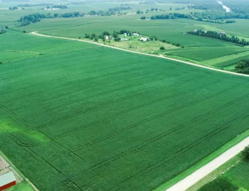 3 Tract Quality Iowa Farmland Auction