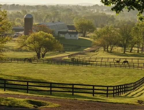 Virginia Hunt Country Landmark