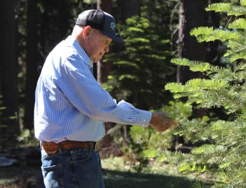 Red Emmerson Plants 300 Millionth Seedling