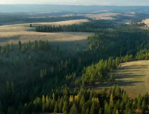 Protected: The Elk Song Ranch