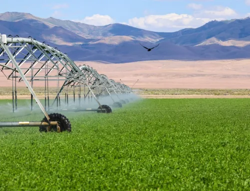 Eastern Oregon Running G Farm