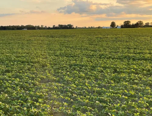 AcreTrader Exits Indiana Row Crop Farm With 18% IRR