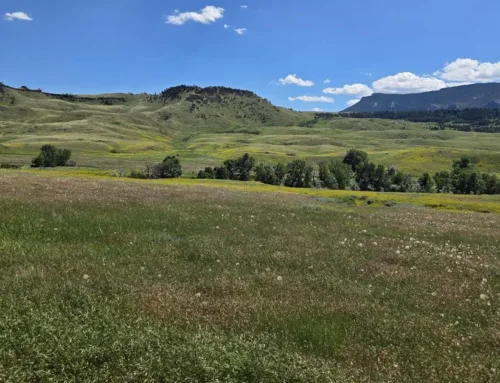 Buckskin Butte Ranch- $15,959,000 – Premier Land Company