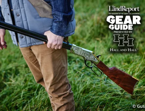 Explore Henry Rifles: Silver Deluxe & Homesteader Review