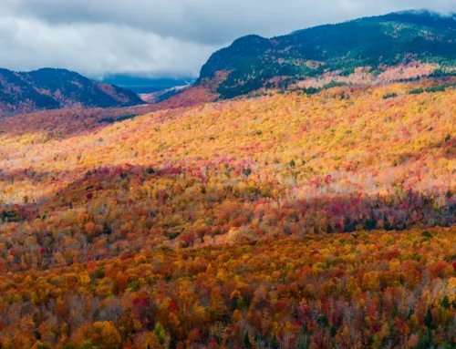 The Conservation Fund Acquires Maine’s Hilton Timberlands