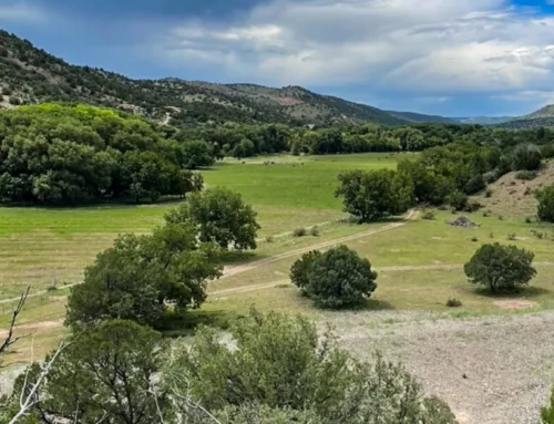 Mimbres River Ranch – $22,500,000 – Beaverhead Ranch Group