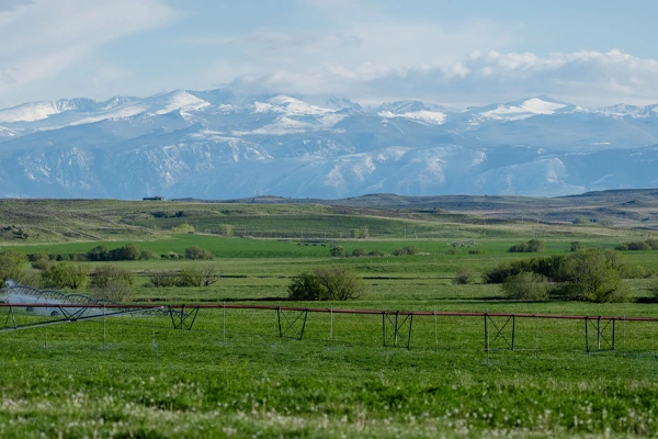 10-LR_PUBPICKS-WesternRanchBrokers-042025