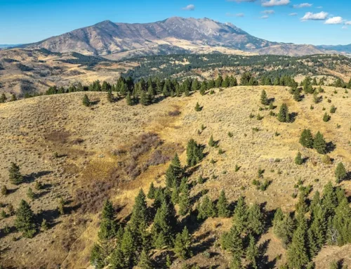 The Schmidt Ranch $29,500,000 Fay Ranches