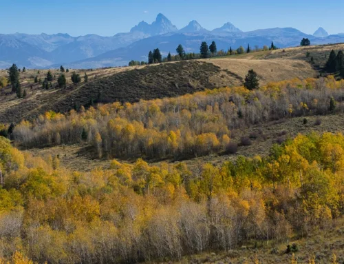 Protected: Teton Jewel: A Historic Piece of the Teton Valley