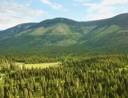 Prairie Road Mountain Vistas