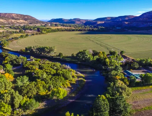 Animas River Farm $9,000,000  Beaverhead Ranch Group